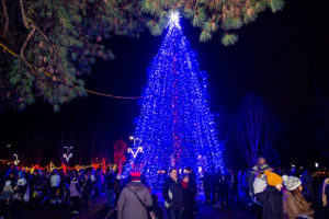 Read more about the article Celebrate the Season with Beaverton’s Tree Lighting Ceremony