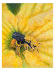 Read more about the article As the Bee Sees: A Pollinator’s Perspective  New Civic Center Exhibition Takes Magnified Look at the Natural World