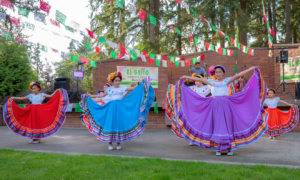 Read more about the article El Grito Community Festival Goes Virtual through October 15