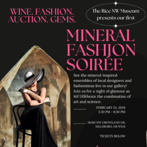 Read more about the article Call for Designers and Models: Rice Museum’s 2024 Fashion Soiree (due 2/20/24)